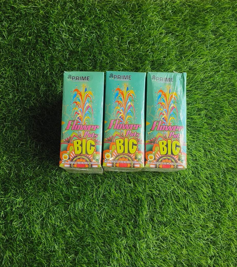 FLOWER POTS BIG (10 PCS)